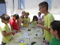 Grest_3-7 028